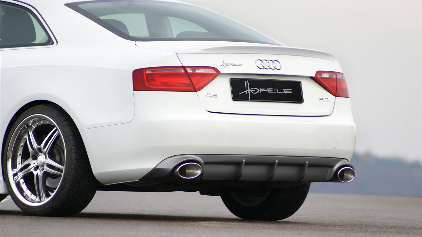 Hofele Audi A3 S3 8PA A4 B6 Cabrio A5 B8 Coupe 奧迪 #25 - 1366x768