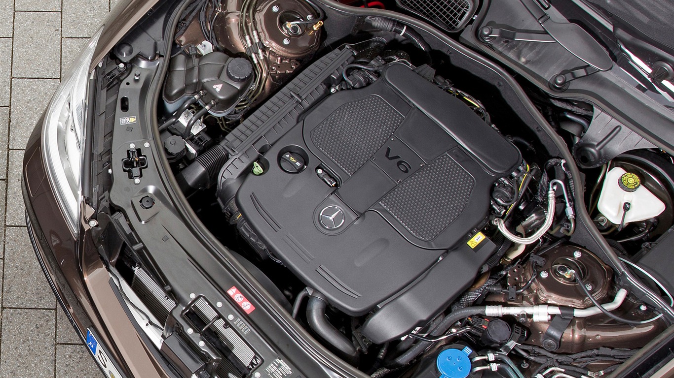 Mercedes-Benz S350 BlueEFFICIENCY BlueTEC - 2010 奔馳 #5 - 1366x768