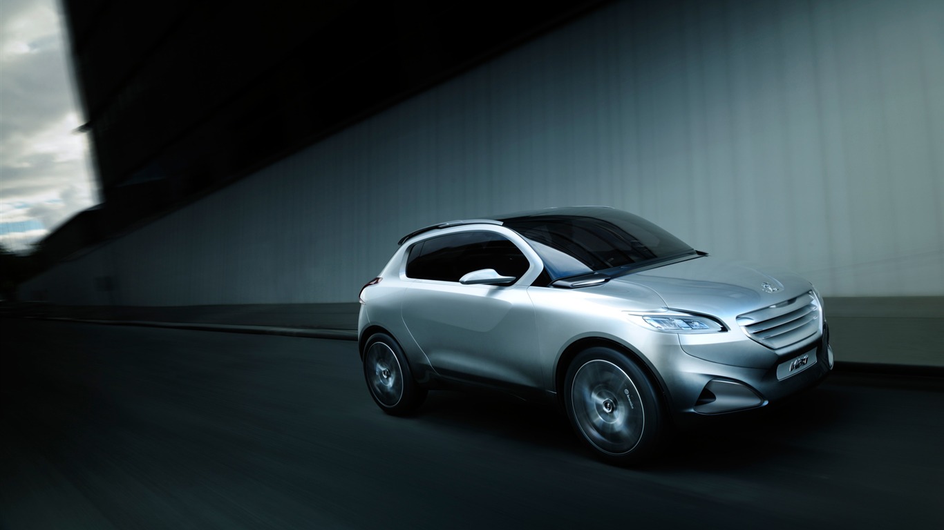 Concept Car Peugeot HR1 - 2010 標誌 #9 - 1366x768