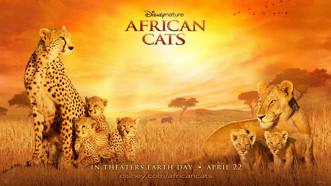 アフリカの猫：勇気の王国壁紙 #3 - 1366x768
