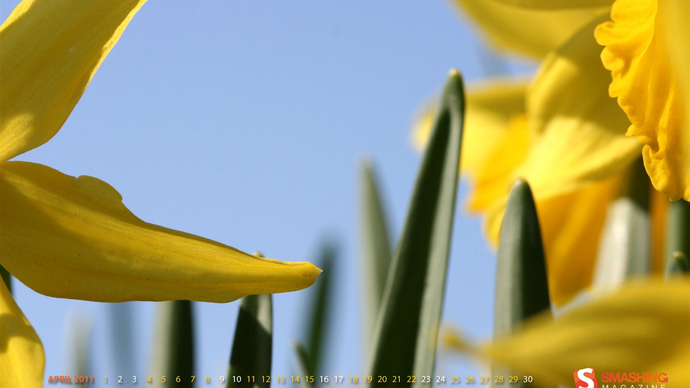 2011年4月 月历壁纸(一)10 - 1366x768