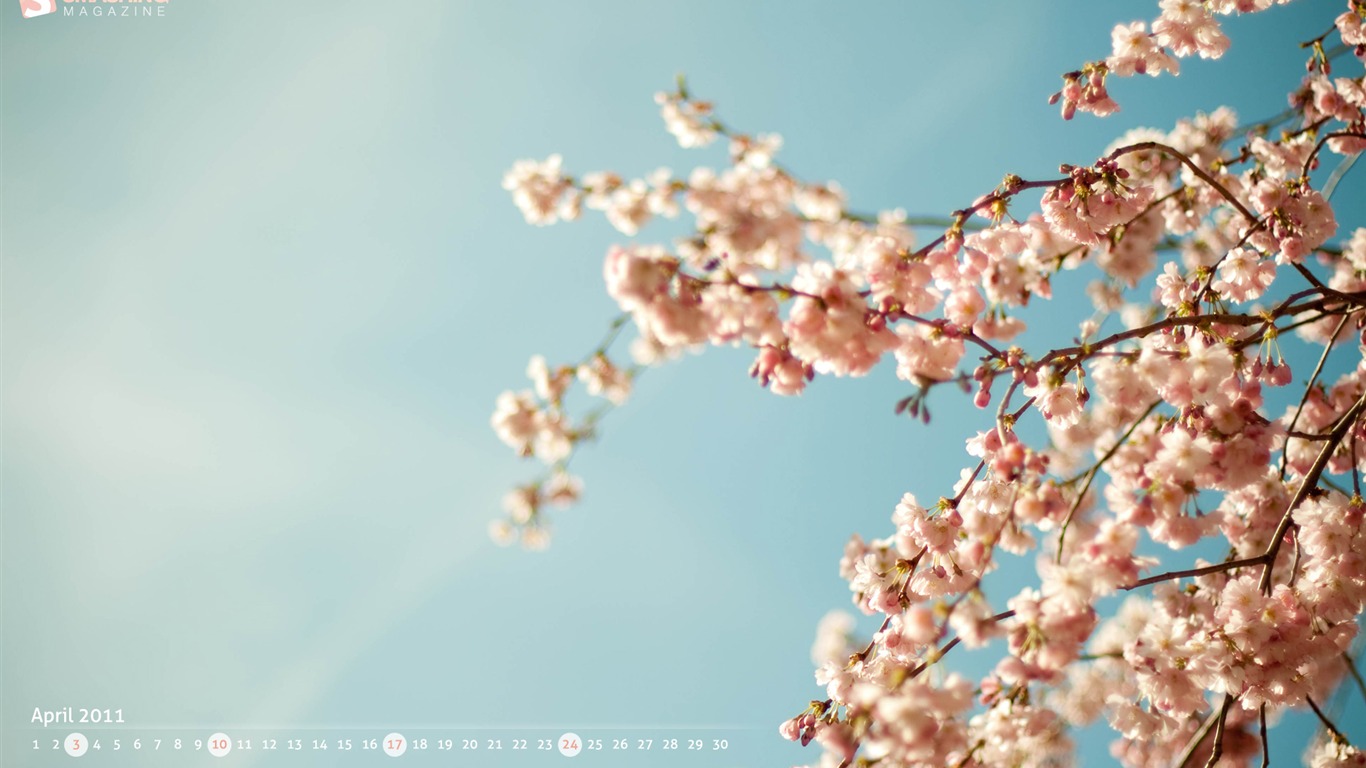 2011年4月 月曆壁紙(一) #19 - 1366x768