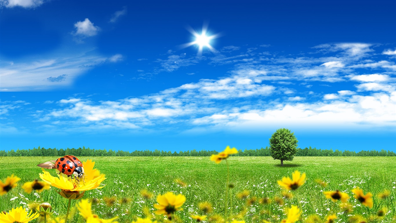 Photoshop sonnigen Sommertag Landschaft Wallpaper (2) #8 - 1366x768