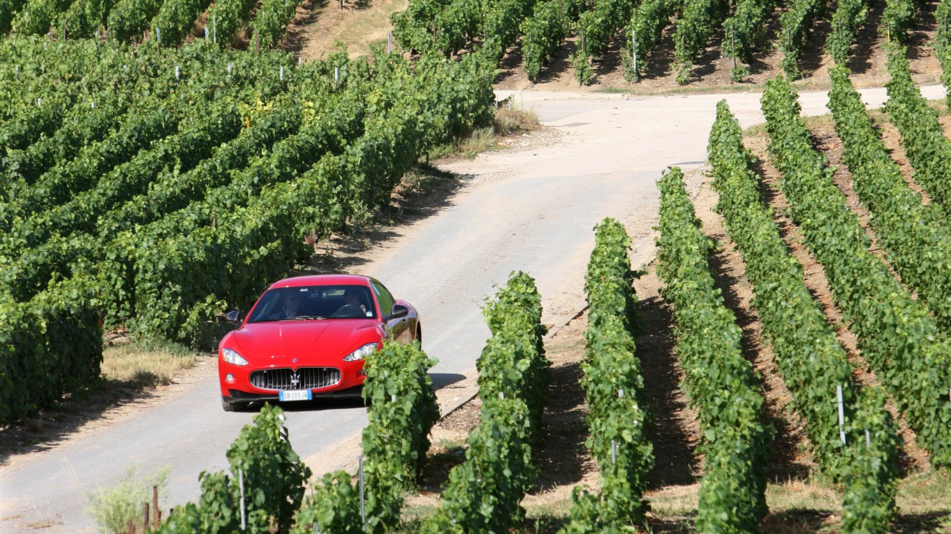 Maserati GranTurismo - 2010 玛莎拉蒂25 - 1366x768