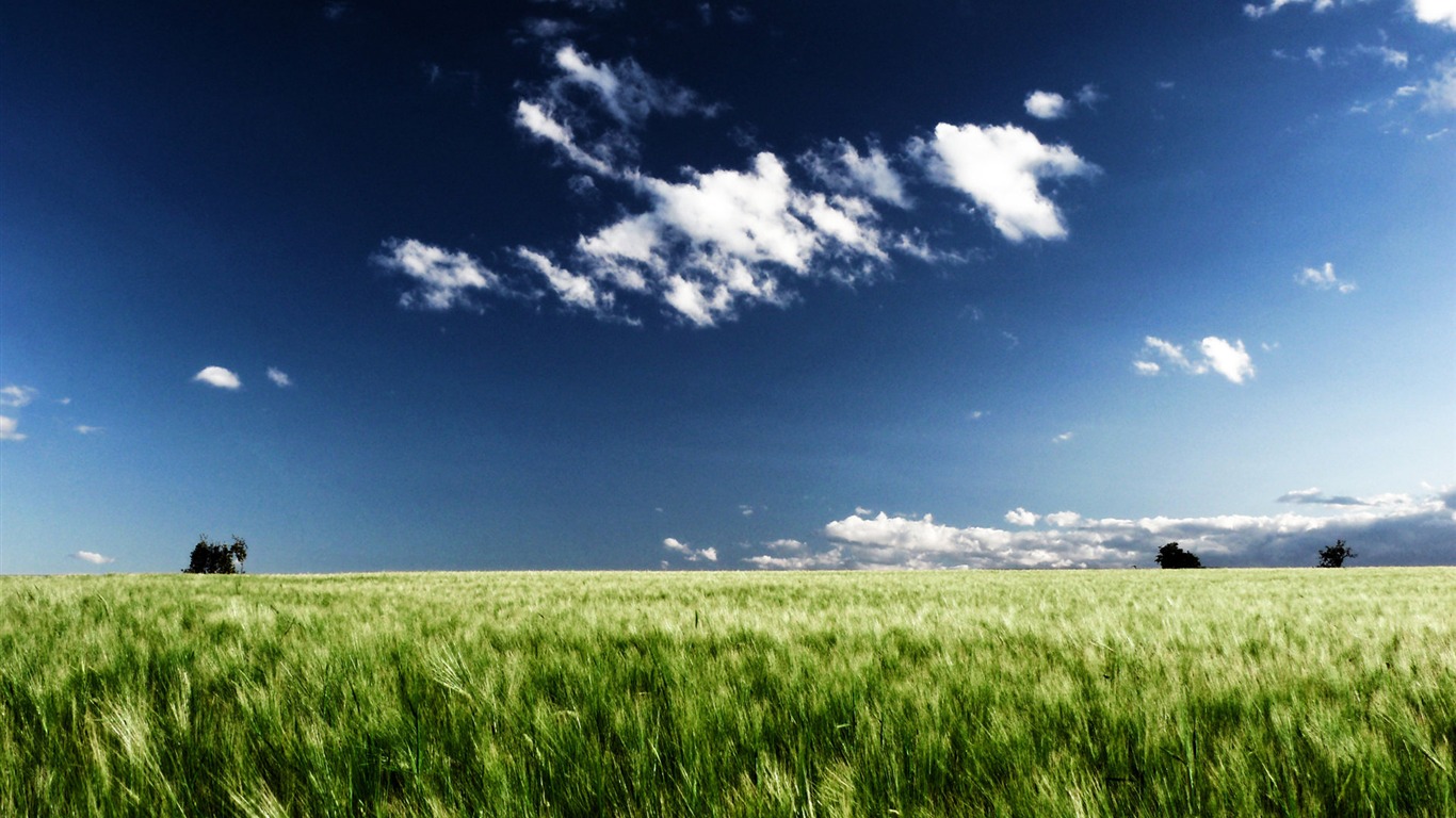 Fond d'écran Nature-Zélande (1) #12 - 1366x768