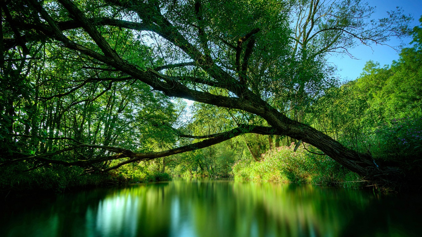 Fond d'écran Nature-Zélande (2) #1 - 1366x768