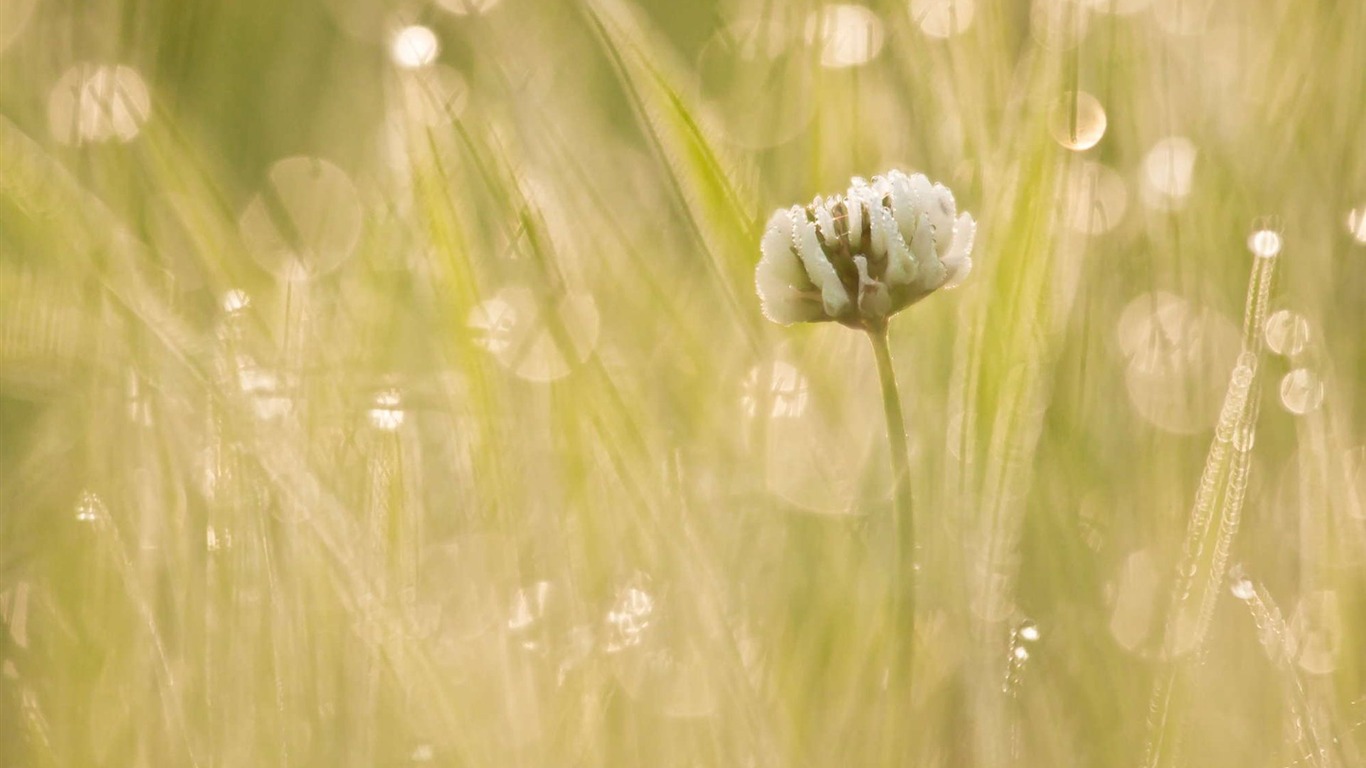 Ubuntuのシステムの壁紙（2） #4 - 1366x768