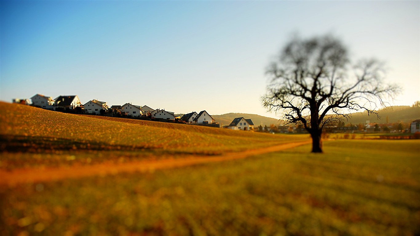 Real zu der feindlichen Miniaturlandschaft Verschiebung Fotografie Wallpaper (1) #20 - 1366x768