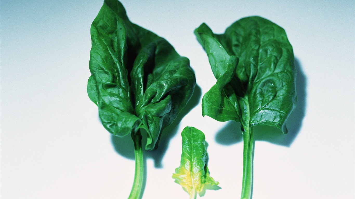 Fond d'écran vert des légumes sains #22 - 1366x768