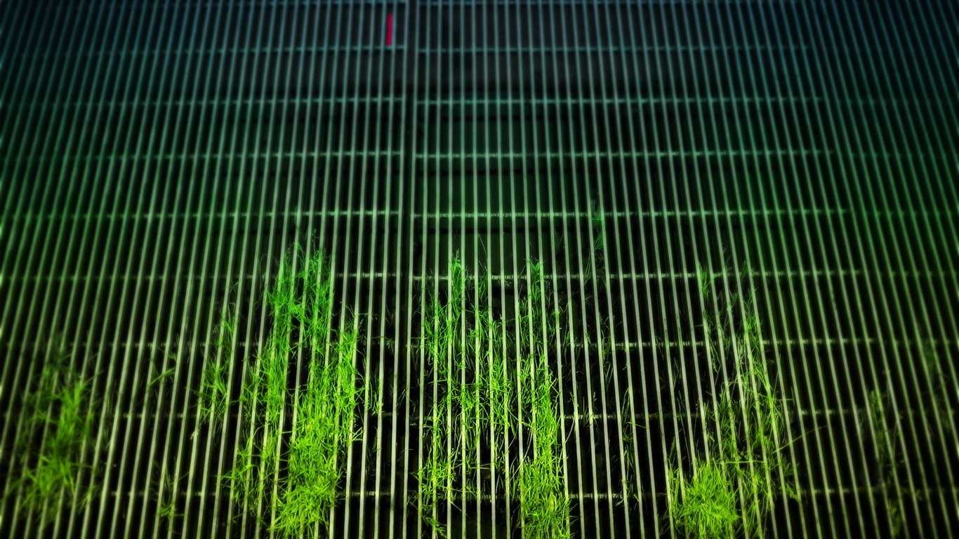 城市街景隨拍(一) #18 - 1366x768