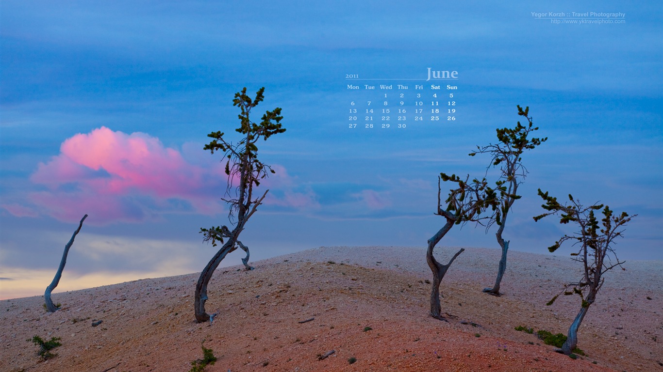 2011年6月 月曆壁紙(一) #4 - 1366x768