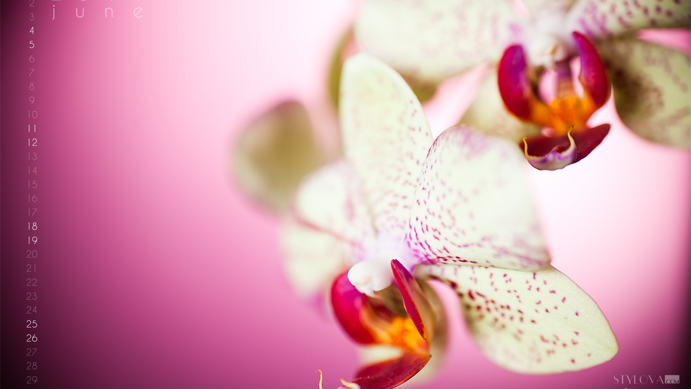 2011年6月 月曆壁紙(二) #3 - 1366x768
