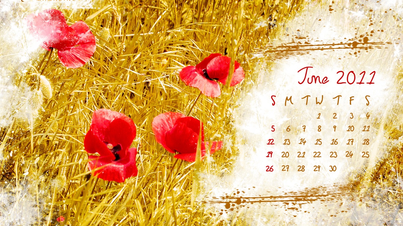 Juni 2011 Kalender Wallpaper (2) #6 - 1366x768