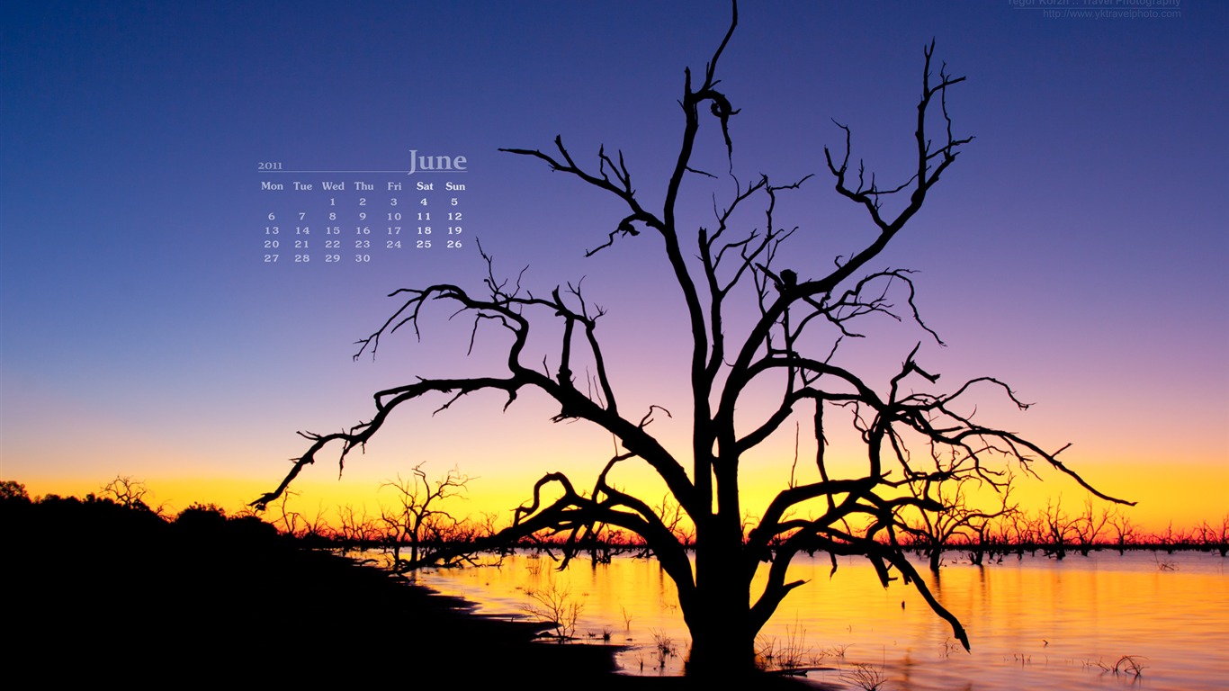 Juni 2011 Kalender Wallpaper (2) #13 - 1366x768