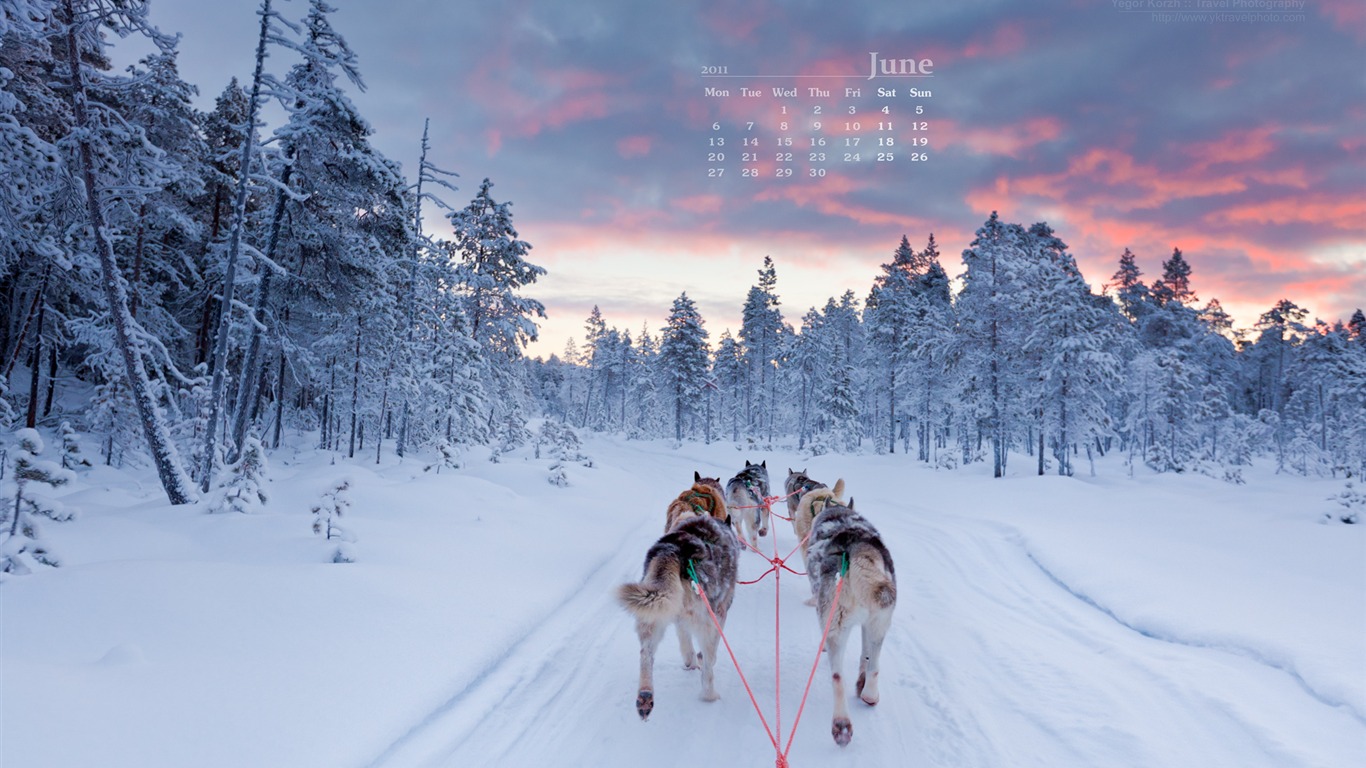 Juni 2011 Kalender Wallpaper (2) #15 - 1366x768