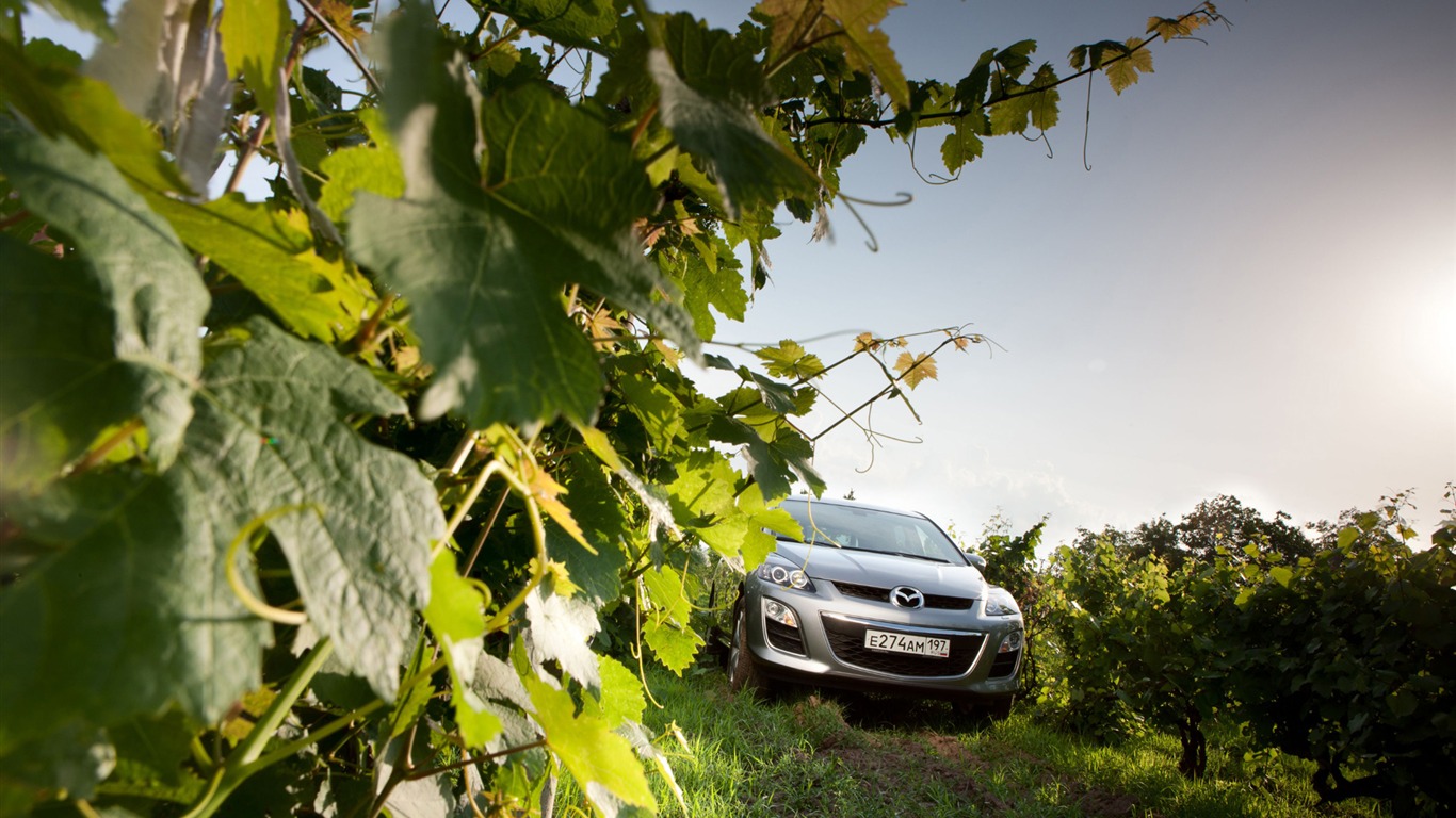 Mazda CX-7 - 2010 馬自達 #47 - 1366x768