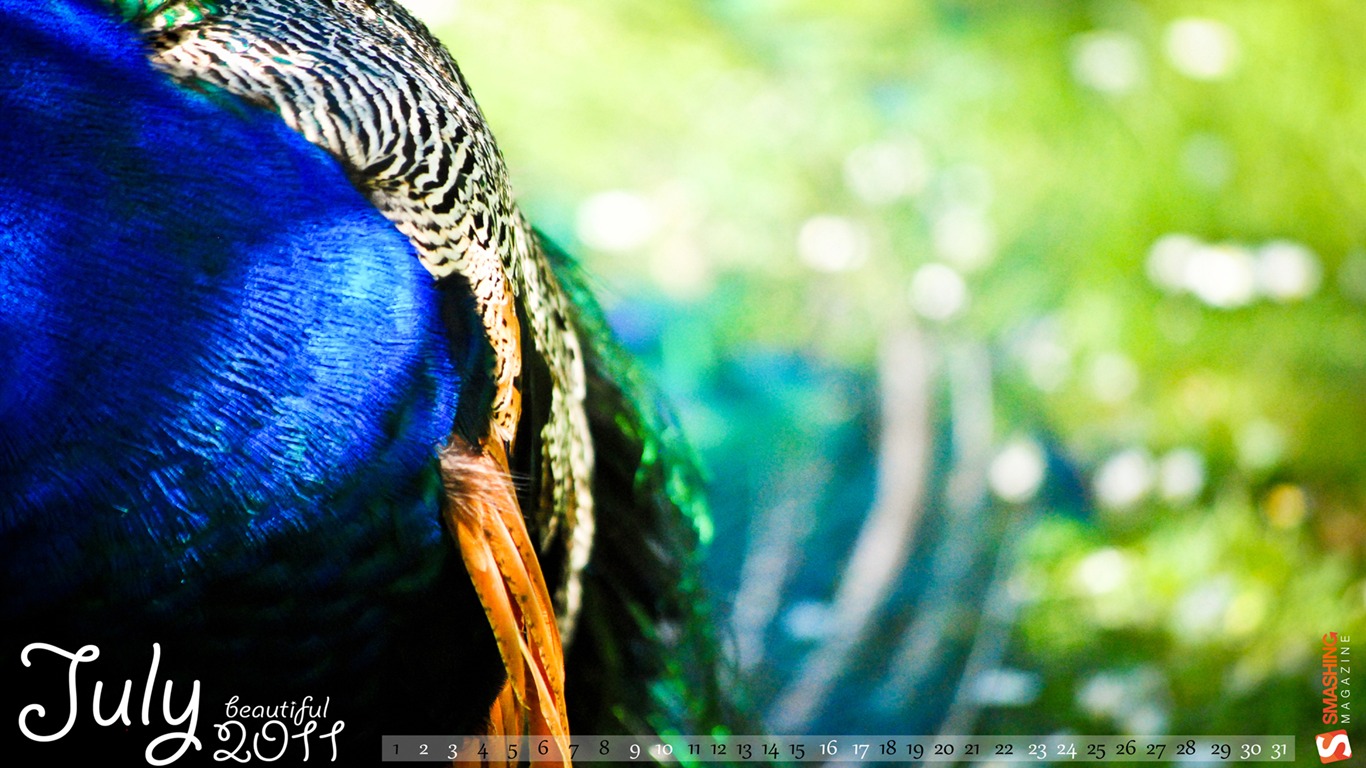 2011年7月 月曆壁紙(一) #1 - 1366x768