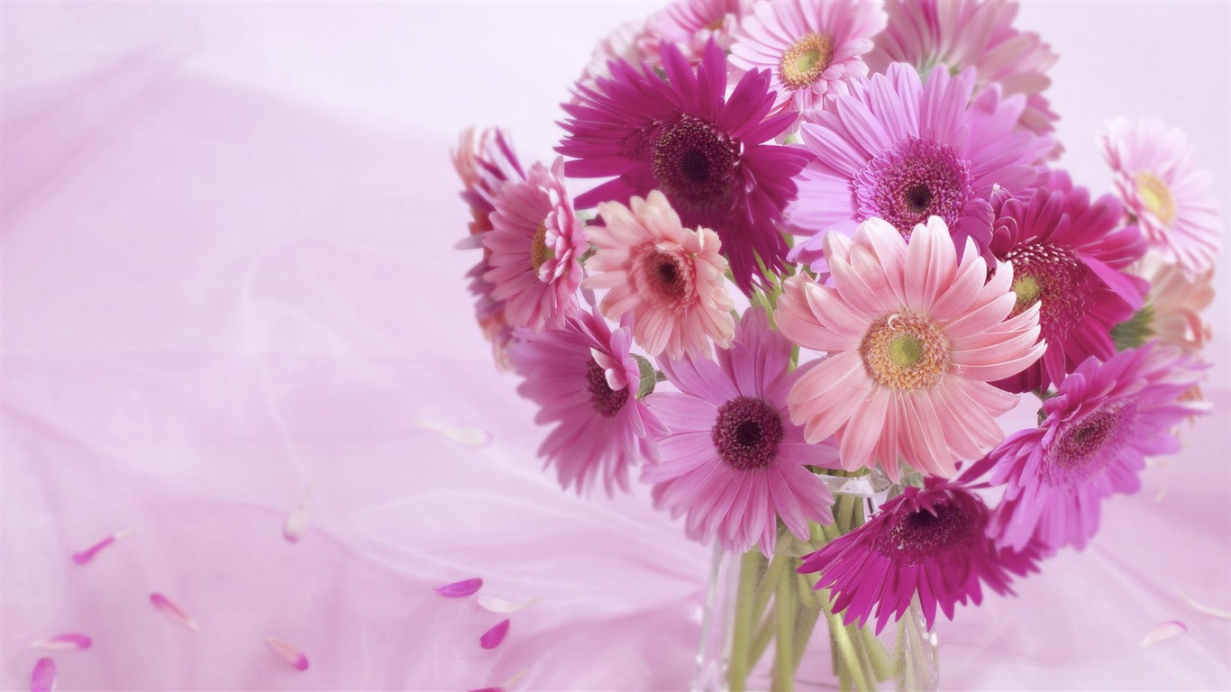 fondos de escritorio de flores con pantalla ancha de cerca (33) #3 - 1366x768