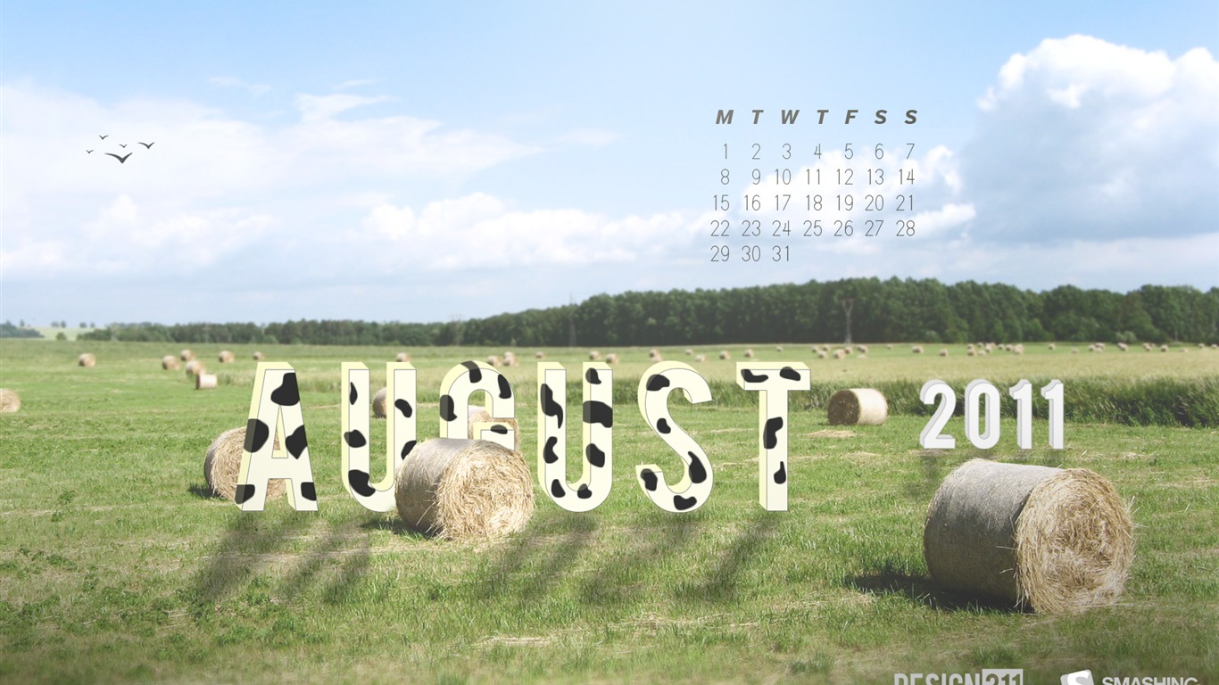 August 2011 calendar wallpaper (1) #11 - 1366x768