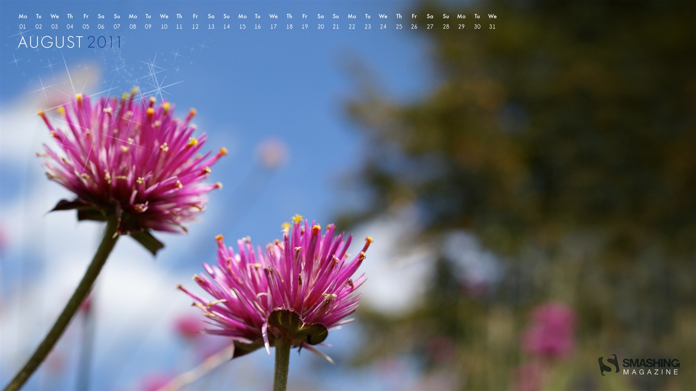 August 2011 calendar wallpaper (2) #7 - 1366x768