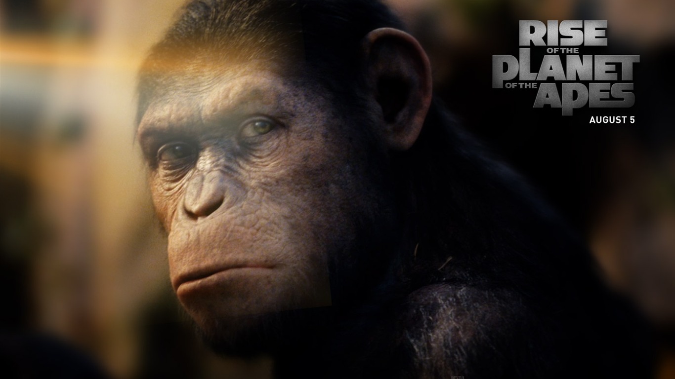 Rise of Planet of the Apes tapet #2 - 1366x768