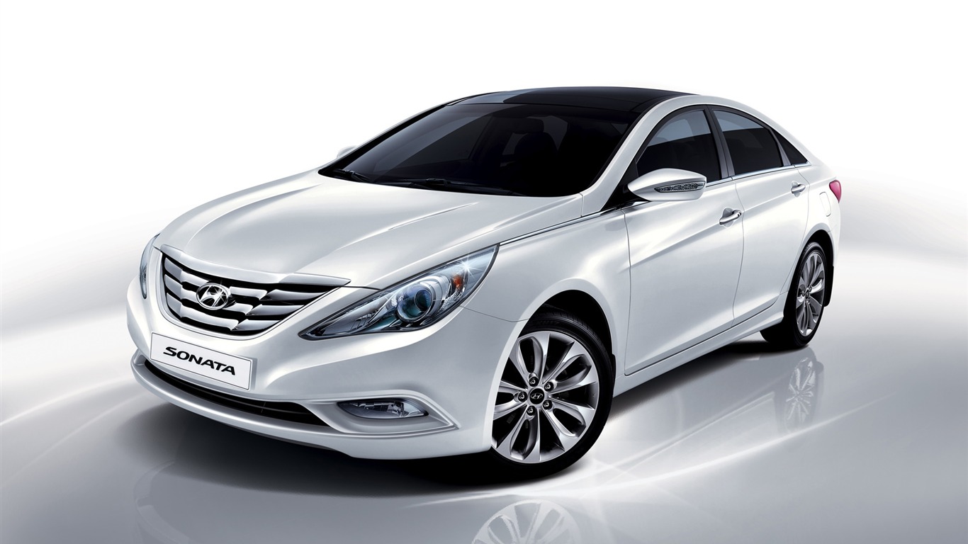 Hyundai Sonata - 2009 现代18 - 1366x768