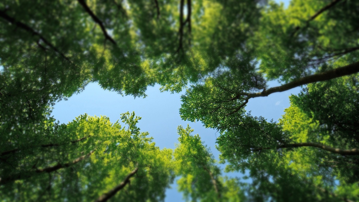 以真亂假 移軸攝影 微縮景觀壁紙(三) #21 - 1366x768