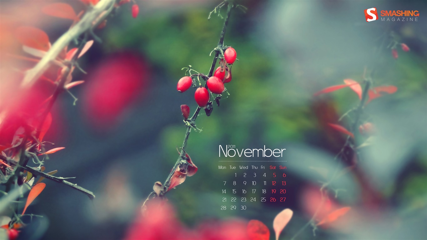 Novembre 2011 Calendar Wallpaper (1) #7 - 1366x768