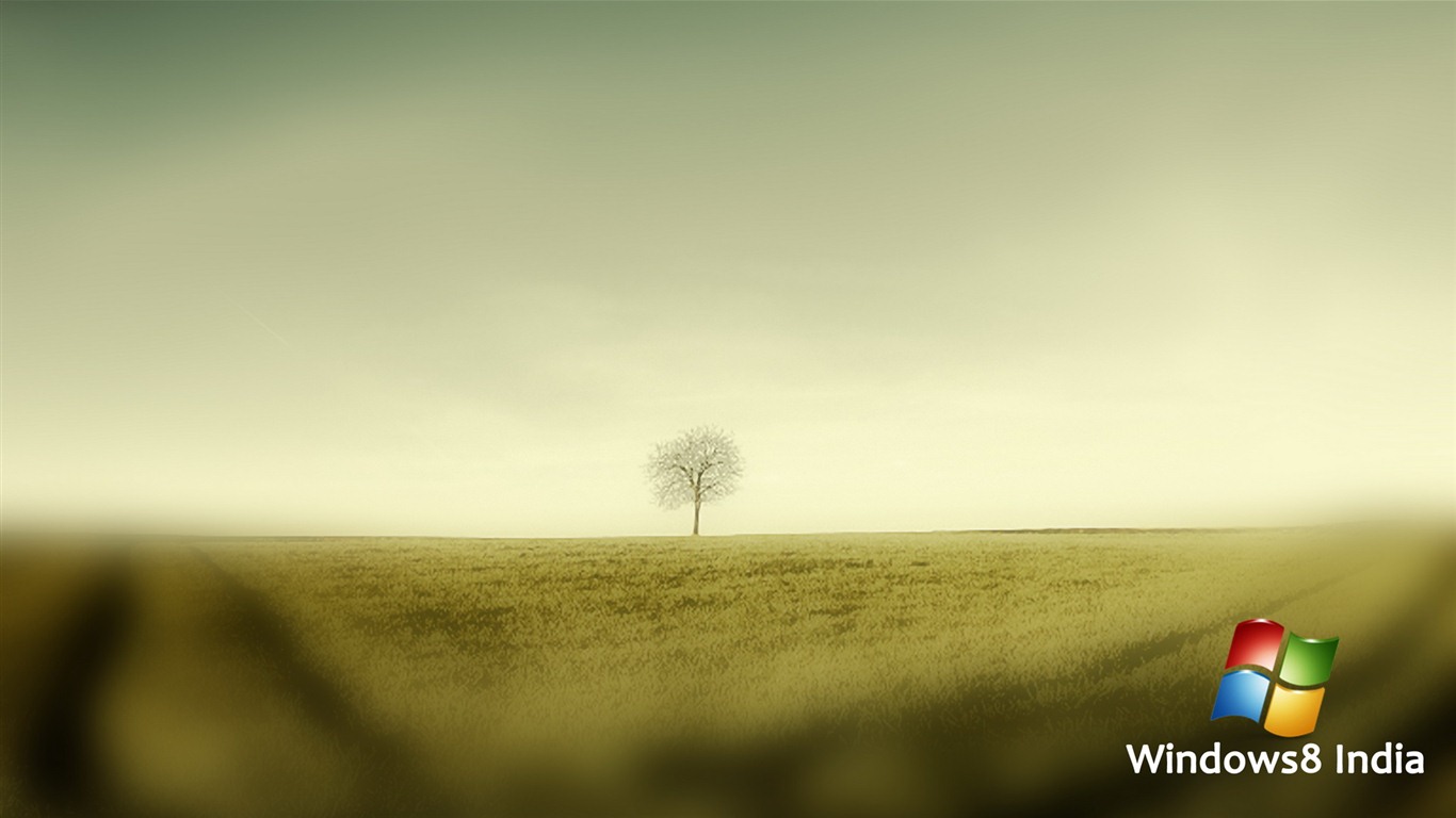 Windows 8 主題壁紙 (一) #5 - 1366x768