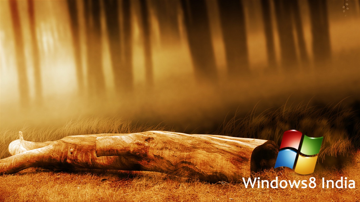 Windows 8 主题壁纸 (一)8 - 1366x768