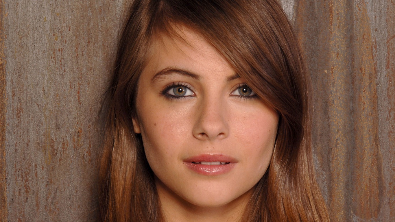 Willa Holland krásnou tapetu #22 - 1366x768