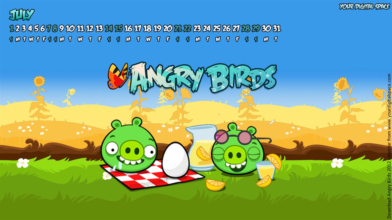 Angry Birds 2012 calendario fondos de escritorio #6 - 1366x768