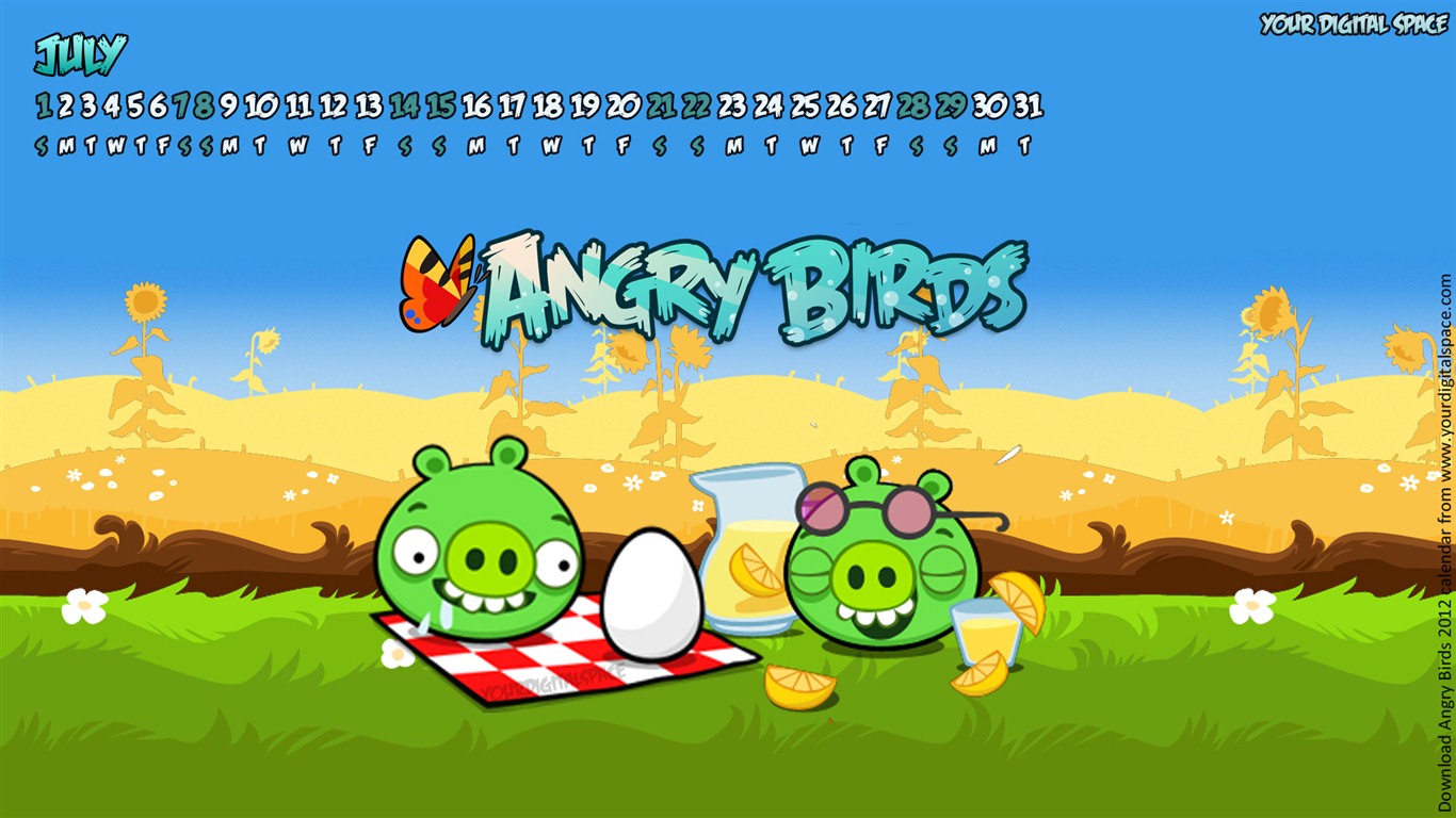 Angry Birds 2012 Kalendář tapeta #6 - 1366x768