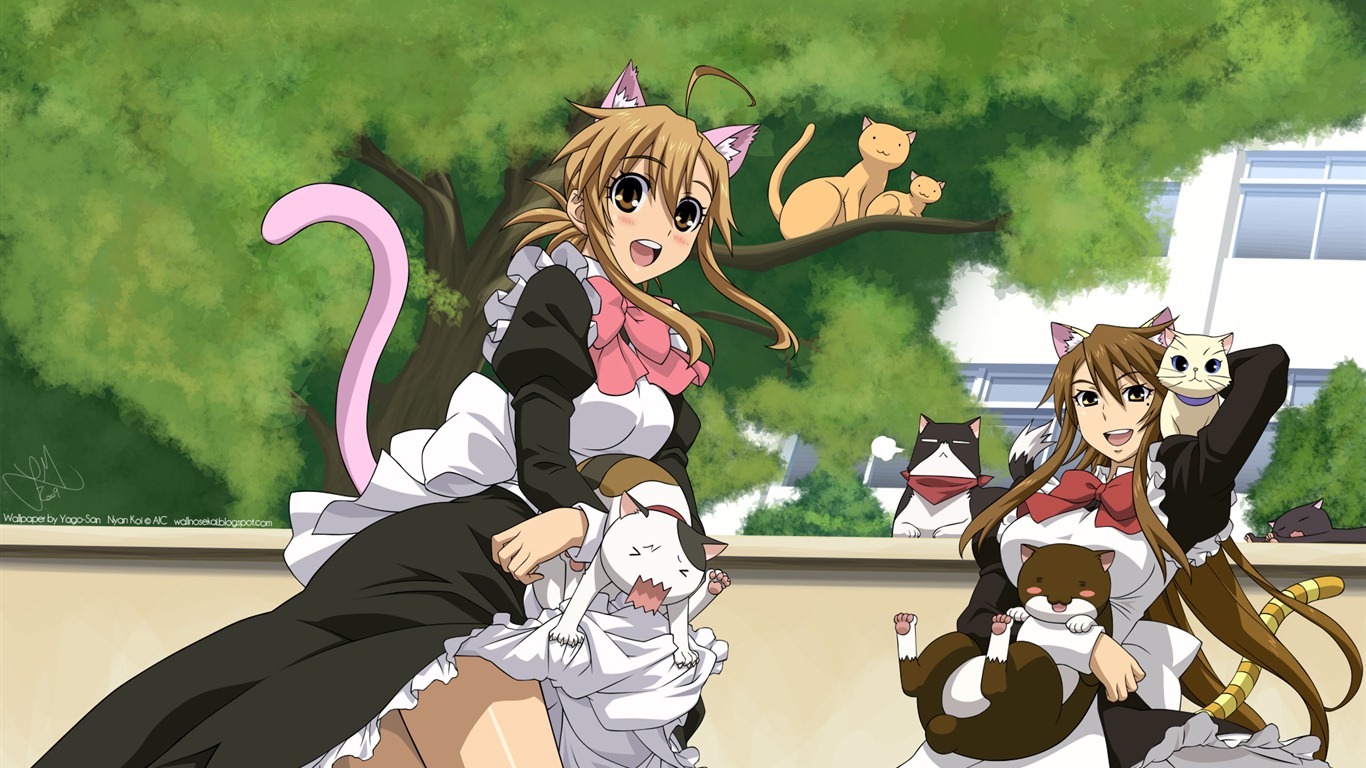 Nyan Koi! HD tapety na plochu #2 - 1366x768