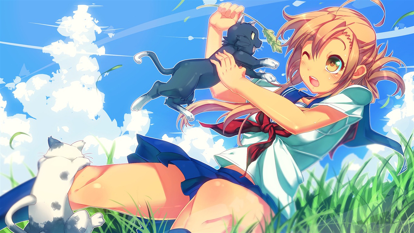 Nyan Koi! HD tapety na plochu #25 - 1366x768