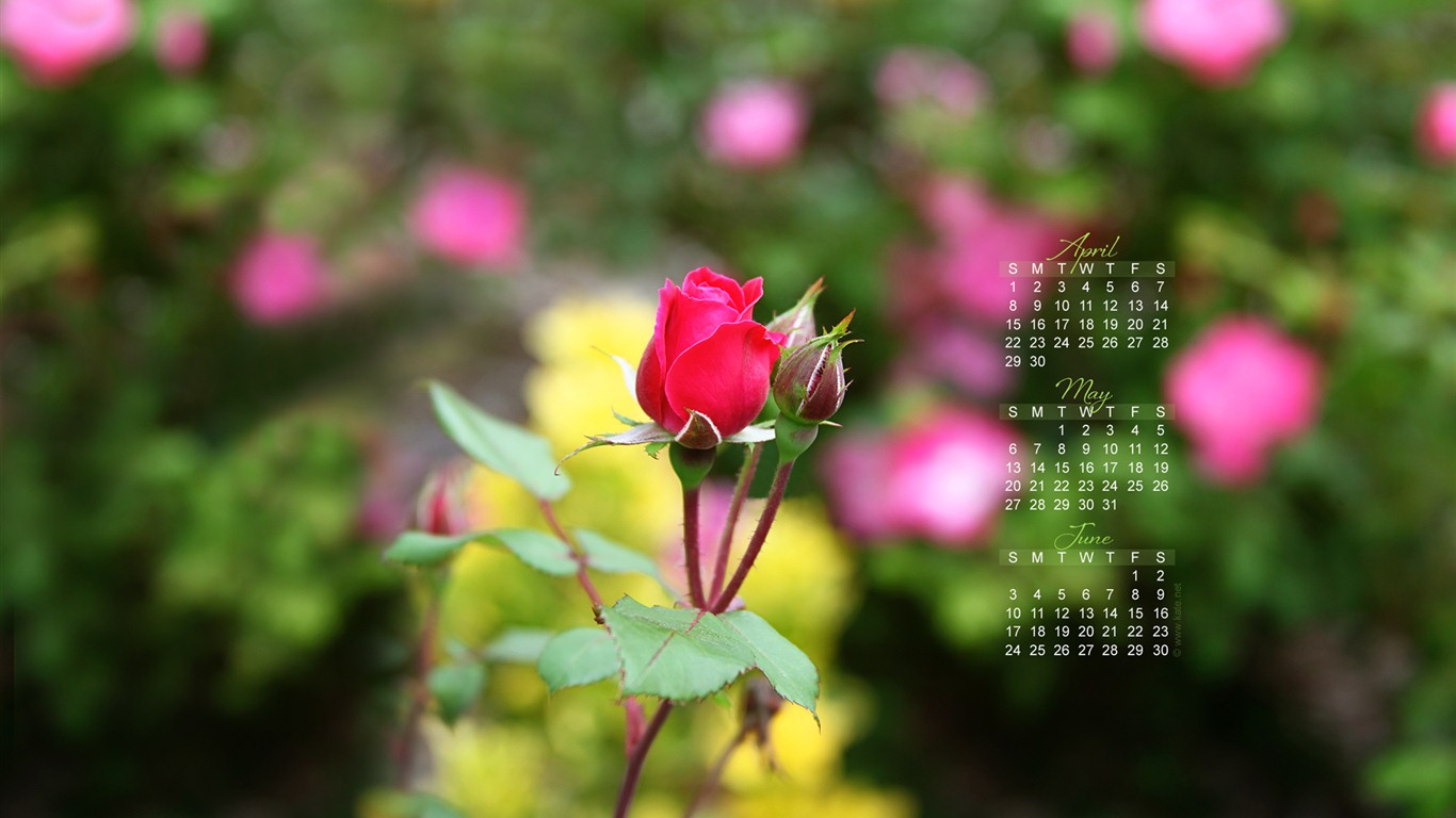 May 2012 Calendar wallpapers (1) #12 - 1366x768
