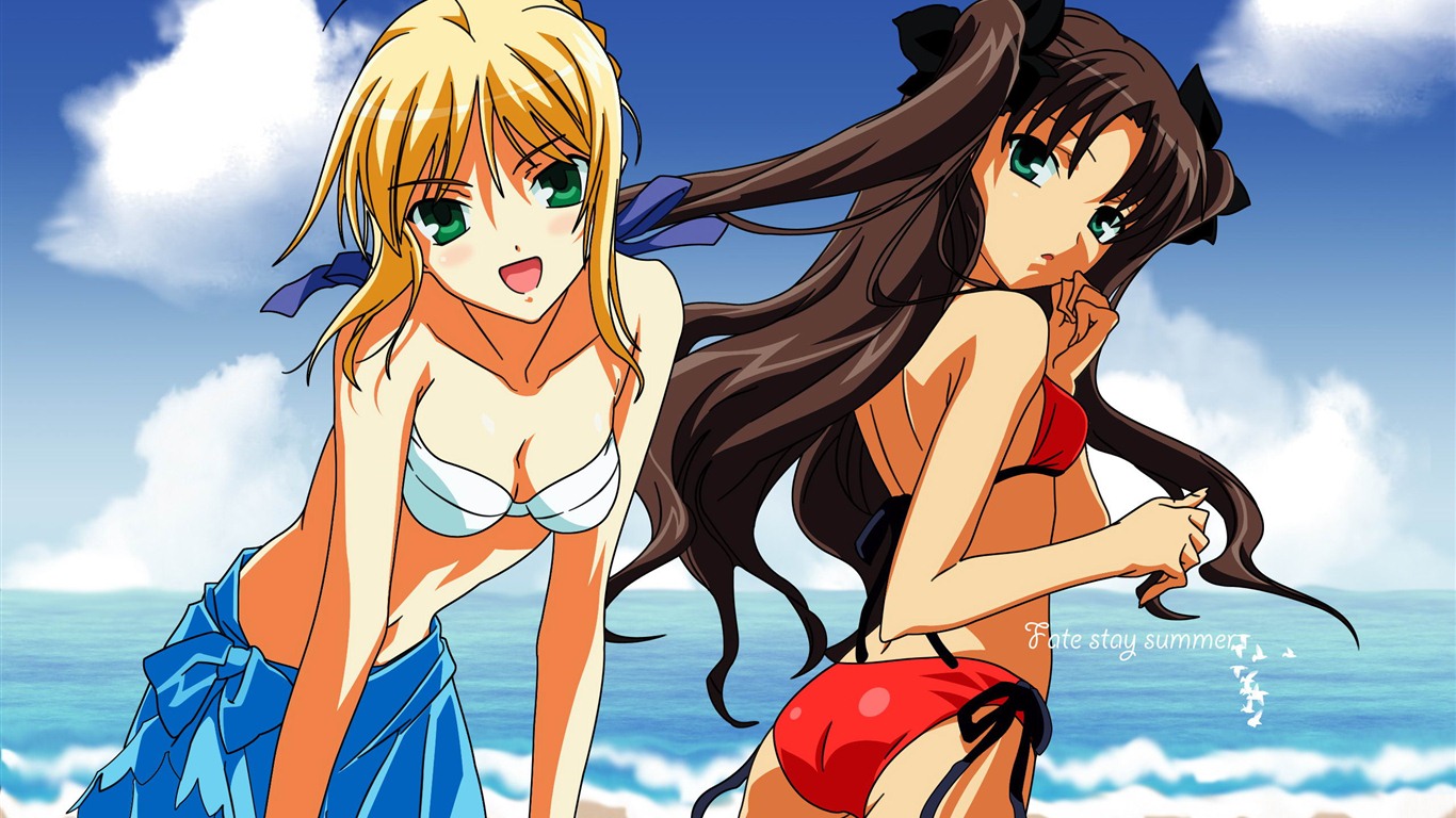 Fate Stay Night HD fondos de pantalla #4 - 1366x768