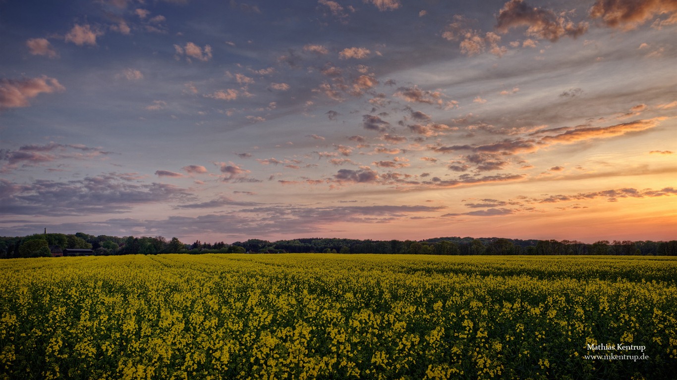 Windows 7 Wallpapers: Impressions du Schleswig-Holstein thème #13 - 1366x768