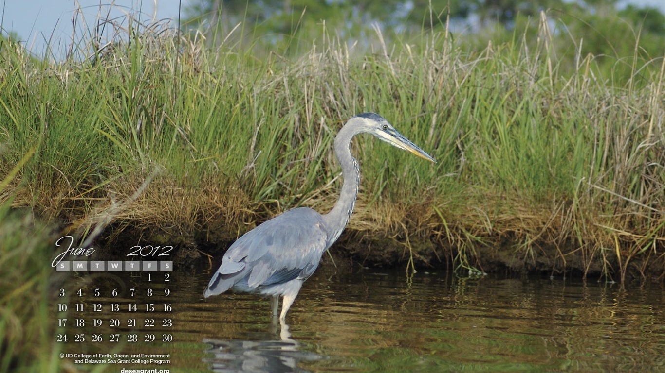 2012年6月 月曆壁紙(一) #10 - 1366x768
