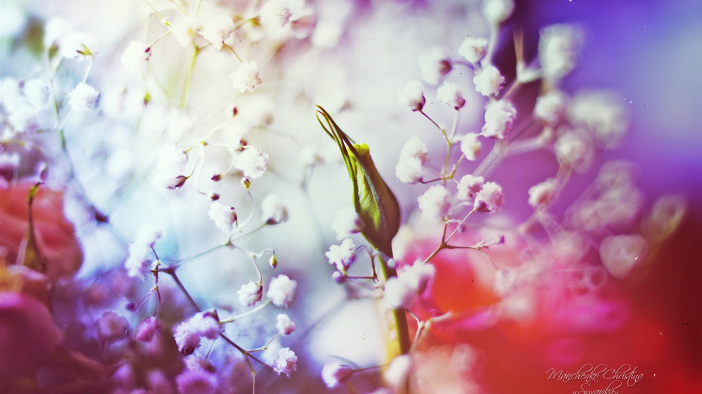 Windows 7 Wallpapers: Dream Garden #2 - 1366x768