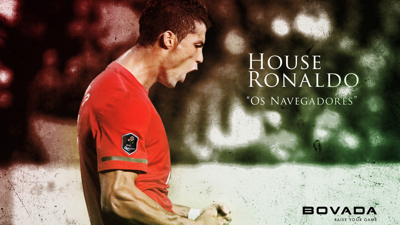 UEFA EURO 2012年歐錦賽高清壁紙(一) #8 - 1366x768