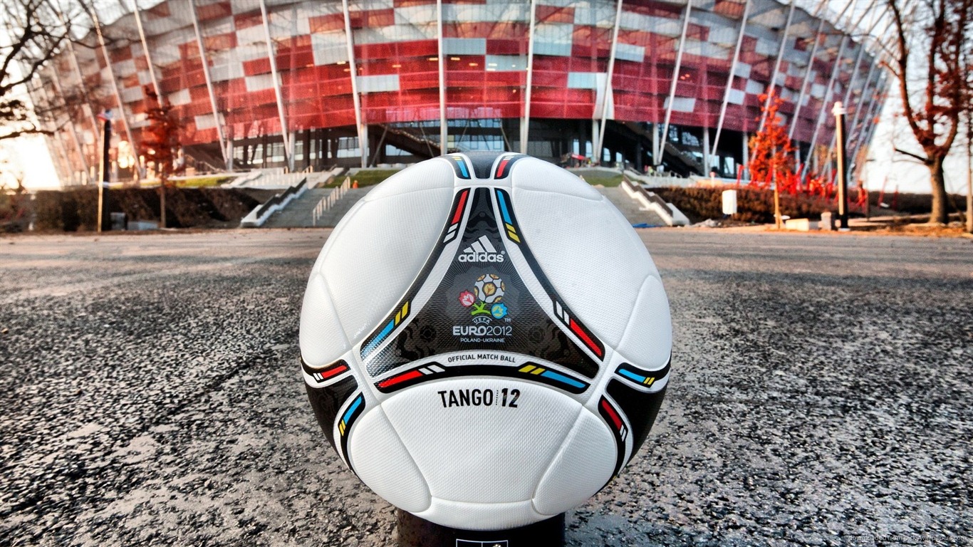 UEFA EURO 2012 fondos de pantalla de alta definición (1) #18 - 1366x768