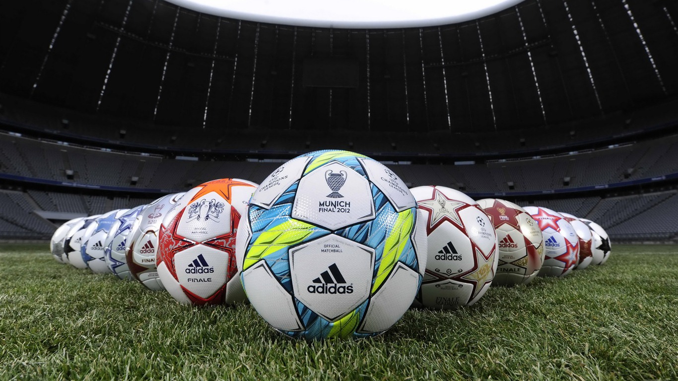 UEFA EURO 2012年歐錦賽高清壁紙(二) #9 - 1366x768