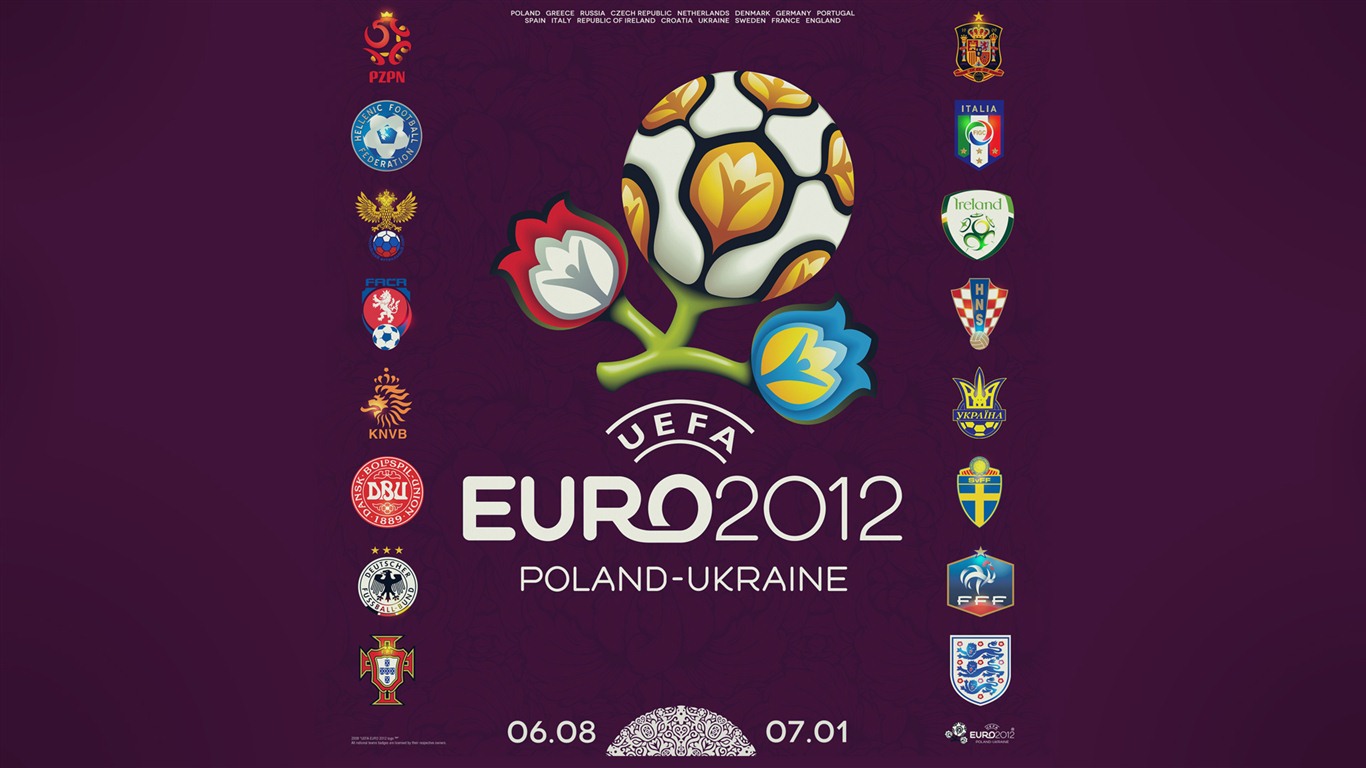 UEFA EURO 2012 欧洲足球锦标赛 高清壁纸(二)12 - 1366x768