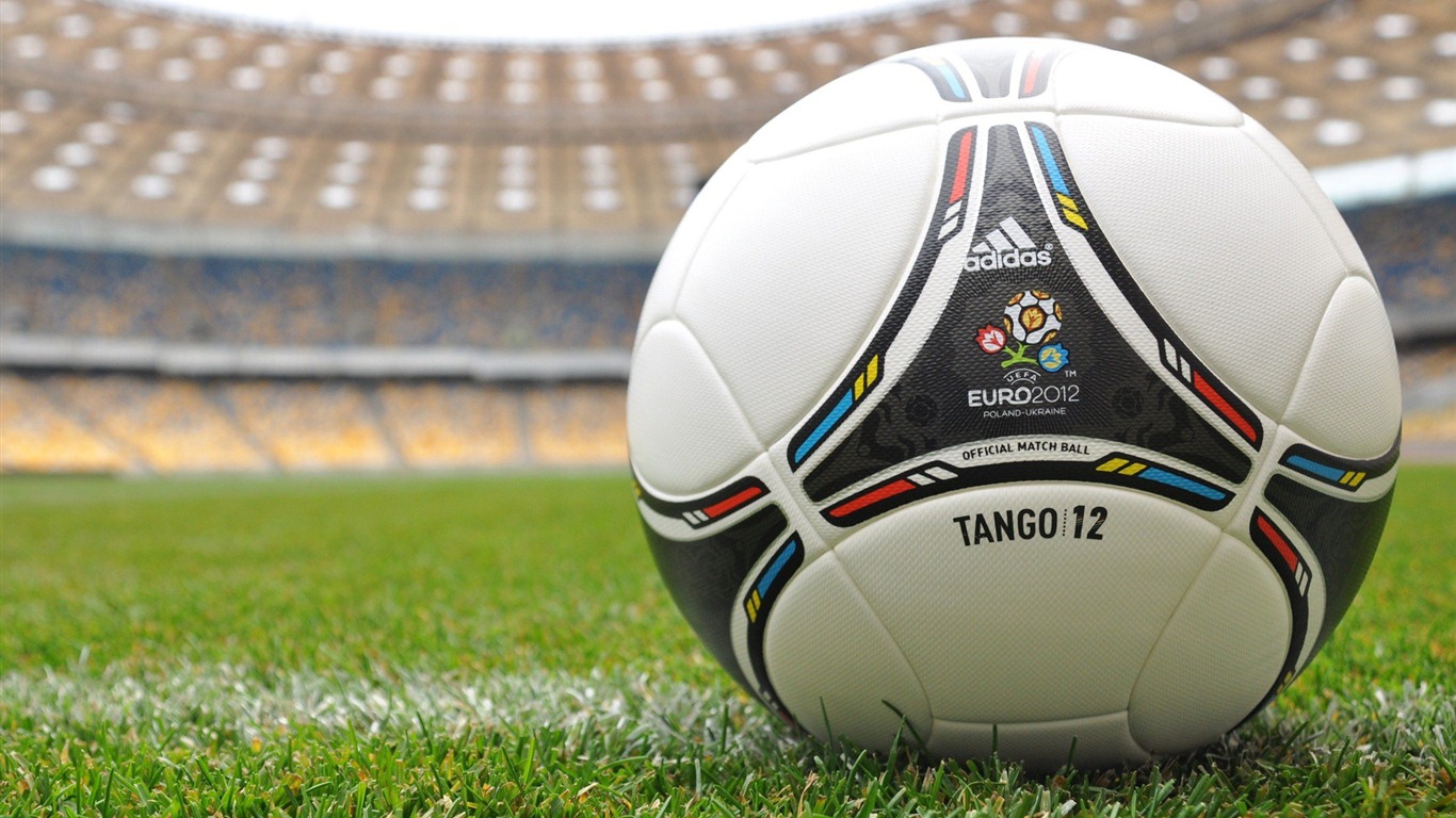 UEFA EURO 2012年歐錦賽高清壁紙(二) #14 - 1366x768