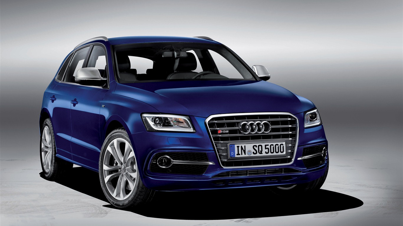 2013 Audi SQ5 TDI 奥迪 高清壁纸2 - 1366x768