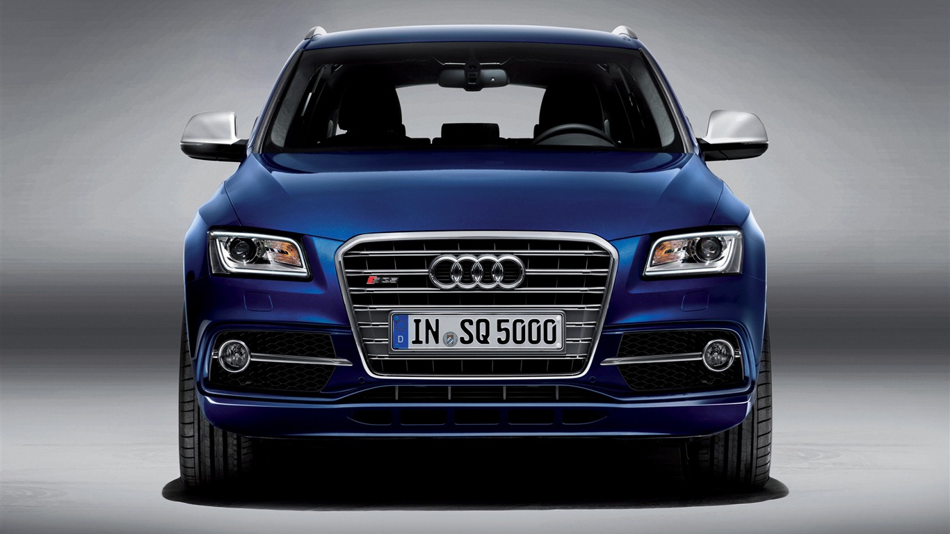 2013 Audi TDI SQ5 HD tapety na plochu #3 - 1366x768