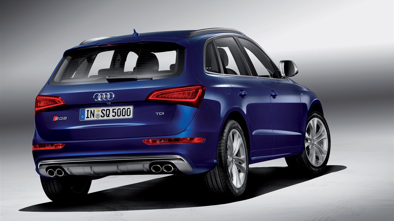 2013 Audi SQ5 TDI 奥迪 高清壁纸4 - 1366x768