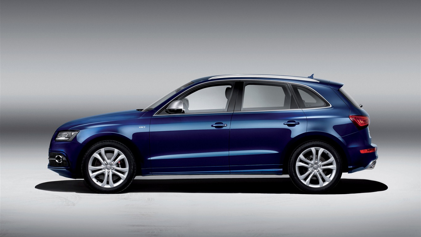 2013 Audi SQ5 TDI 奥迪 高清壁纸5 - 1366x768