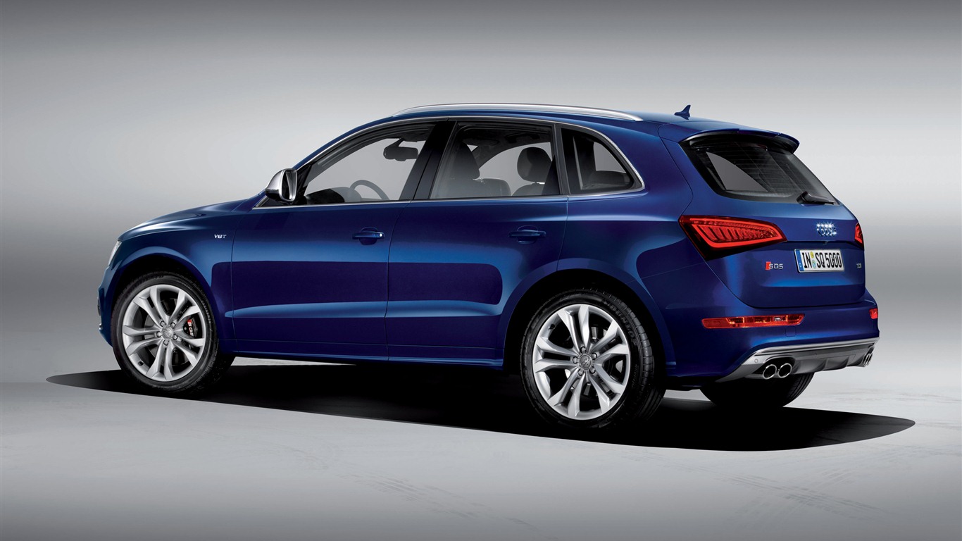 2013 Audi SQ5 TDI 奧迪 高清壁紙 #6 - 1366x768